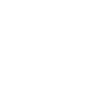 White outline of a shield with a star in the center and two chevrons below it, on a light gray background. The design is simple and icon-like.