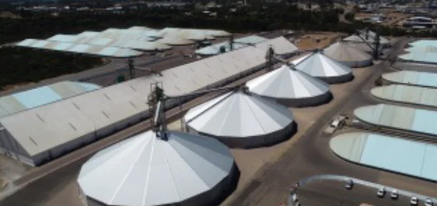 Aerial view of a large grain storage facility with several conical white-roofed silos and rectangular storage sheds arranged in neat rows under a clear sky.