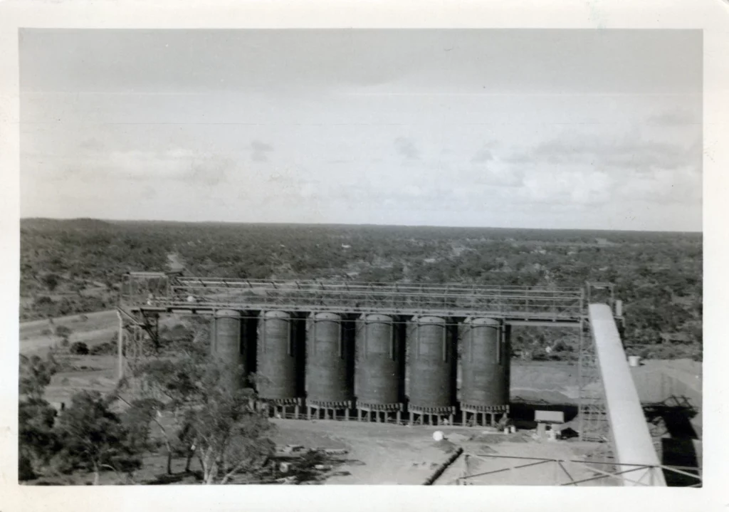 Black and white photo of six large cylindrical silos in a rural area, surrounded by trees and open land, with a conveyor system and a cloudy sky in the background.